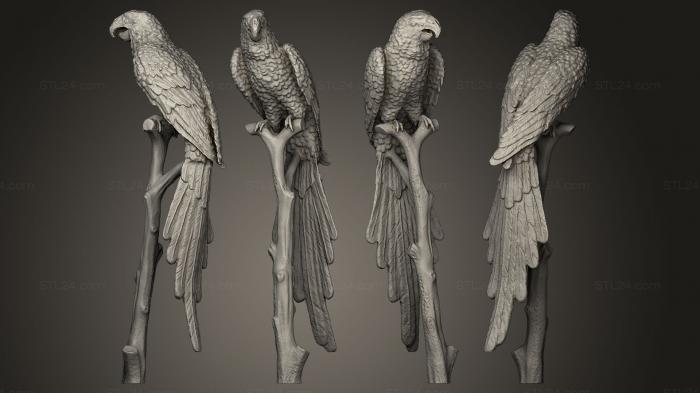 Bird figurines (Parrots Statue3, STKB_0118) 3D models for cnc